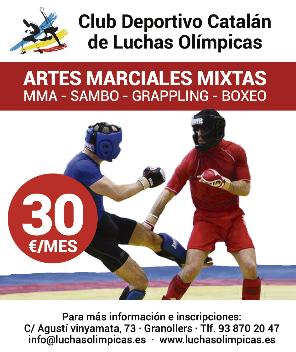 Clase de Artes Marciales Mixtas (MMA)